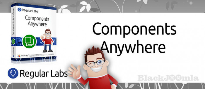 Components Anywhere Pro 4.12.0