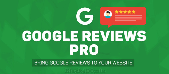 Google Reviews Pro 2.0.1