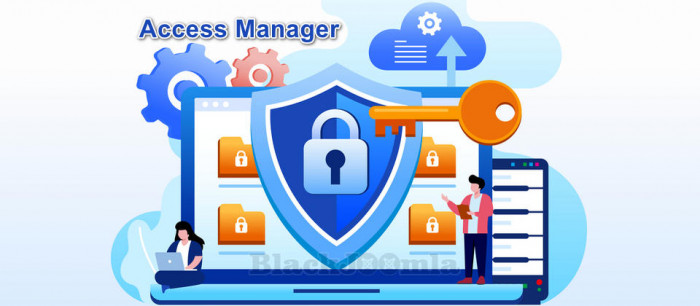 Access Manager Pro 2.3.1