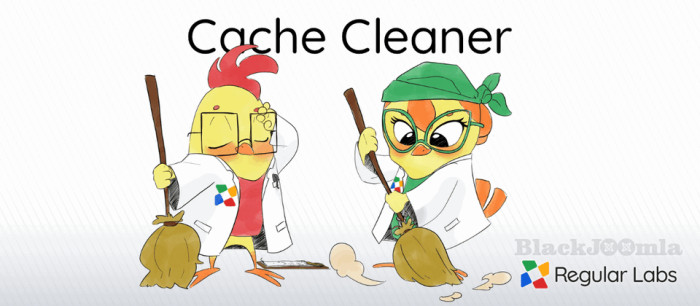 Cache Cleaner Pro 9.1.0