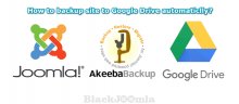 How to backup site to Google Drive automaticlly?